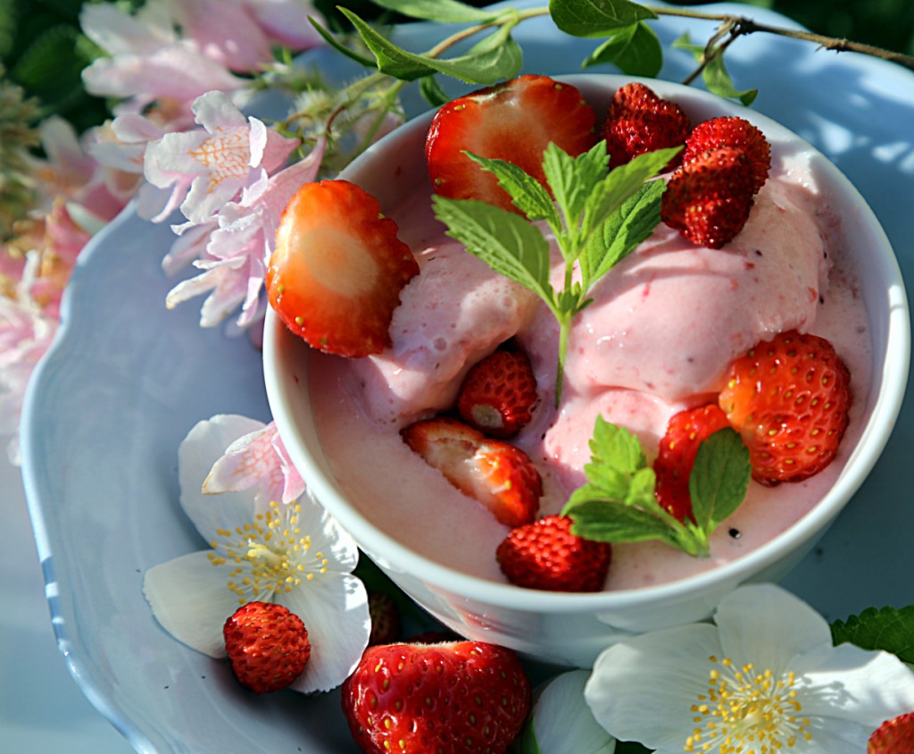 lahodná kombinace kefíru, zakysané smetany a sladkých jahod patří k chutným zážitkům léta