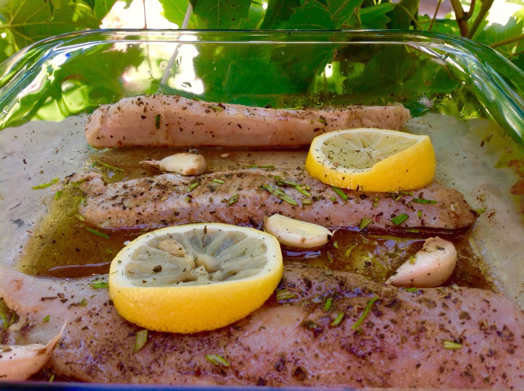ryby naložené v balsamico octu, olivovém oleji, citronu, rozmarýnu a pár stroužky česneku