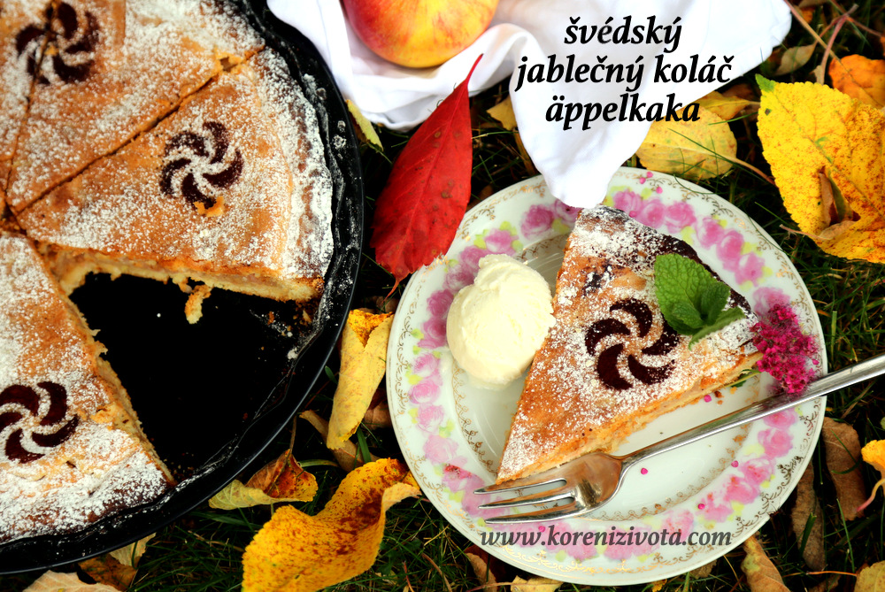 švédský jablečný koláč äppelkaka s kopečkem vanilkové zmrzliny