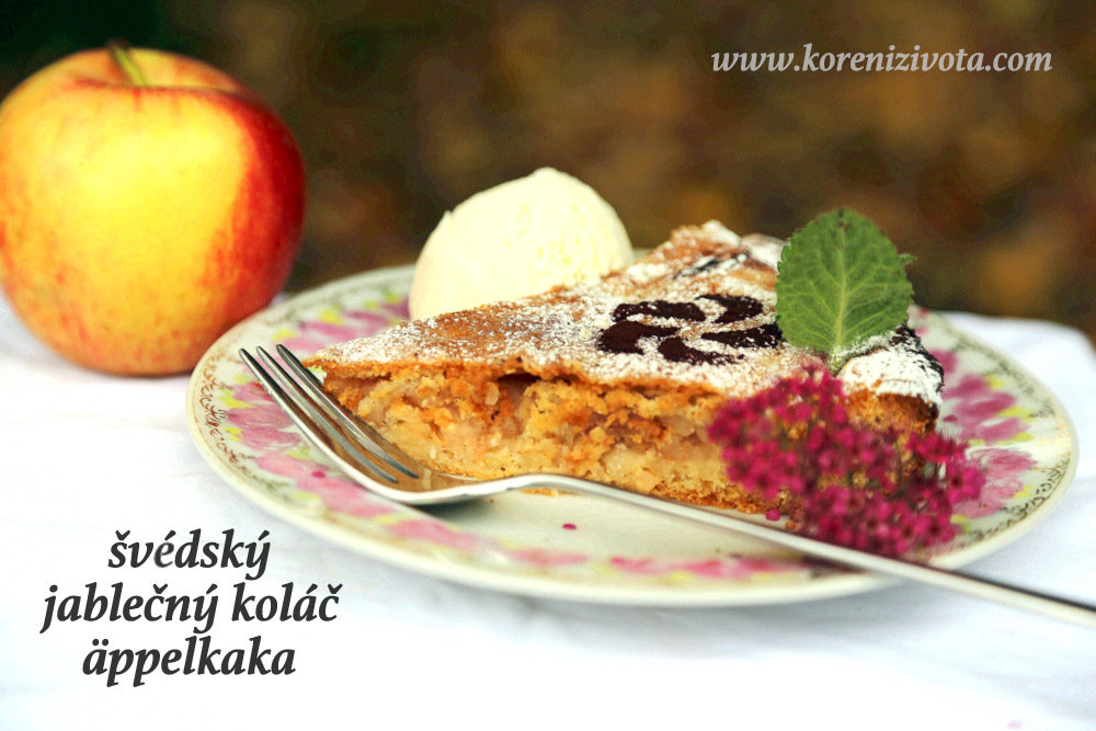 švédský jablečný koláč äppelkaka s tenkou krustou na povrchu; tradičně se ve Švédsku podává s vanilkovou zmrzlinou či vanilkovým krémem