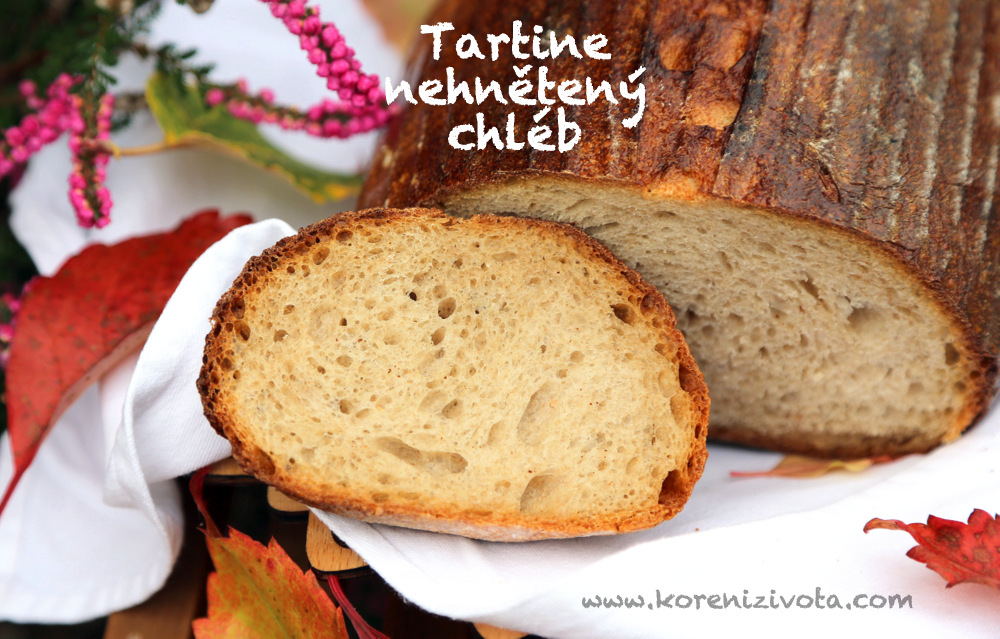 Tartine nehnětený chleba