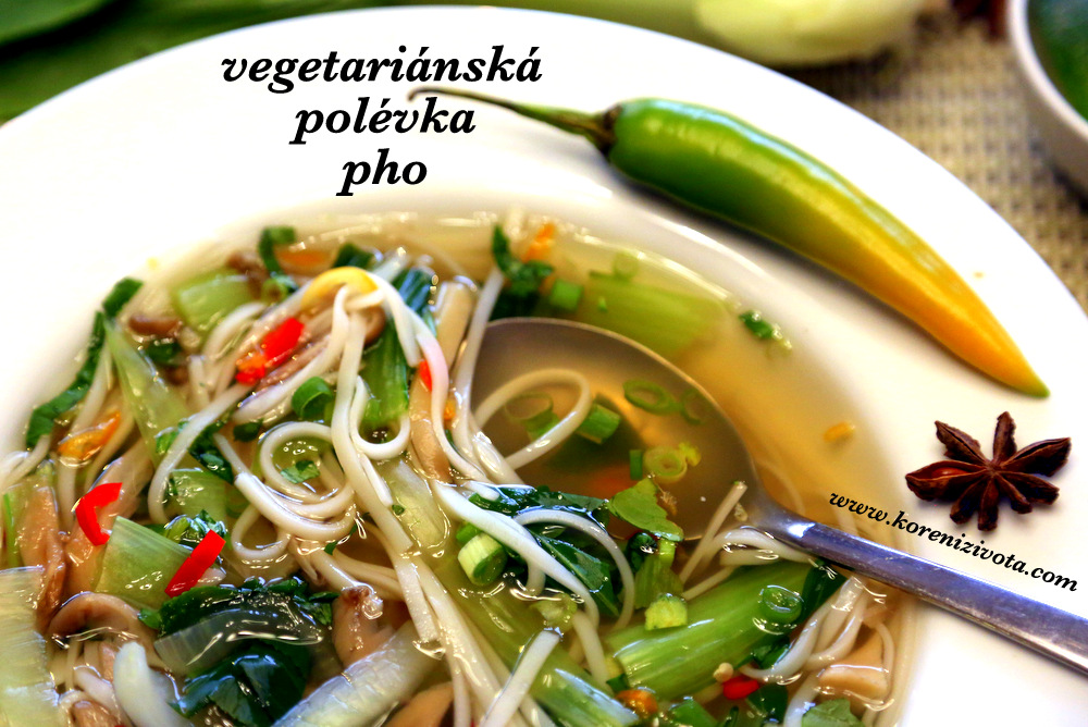 vegetariánská polévka pho