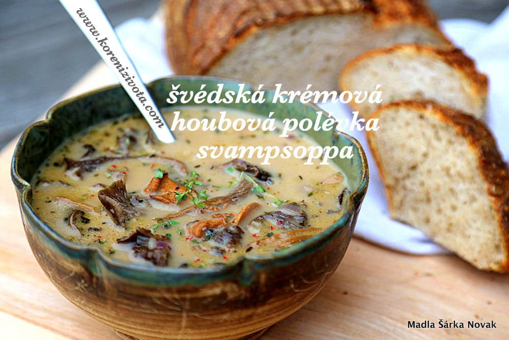 Švédská krémová houbová polévka svampsoppa