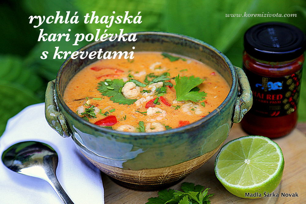 Rychlá thajská kari polévka s krevetami podávaná s listy čerstvě nasekaného koriandru 