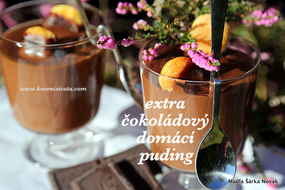 Extra čokoládový domácí puding