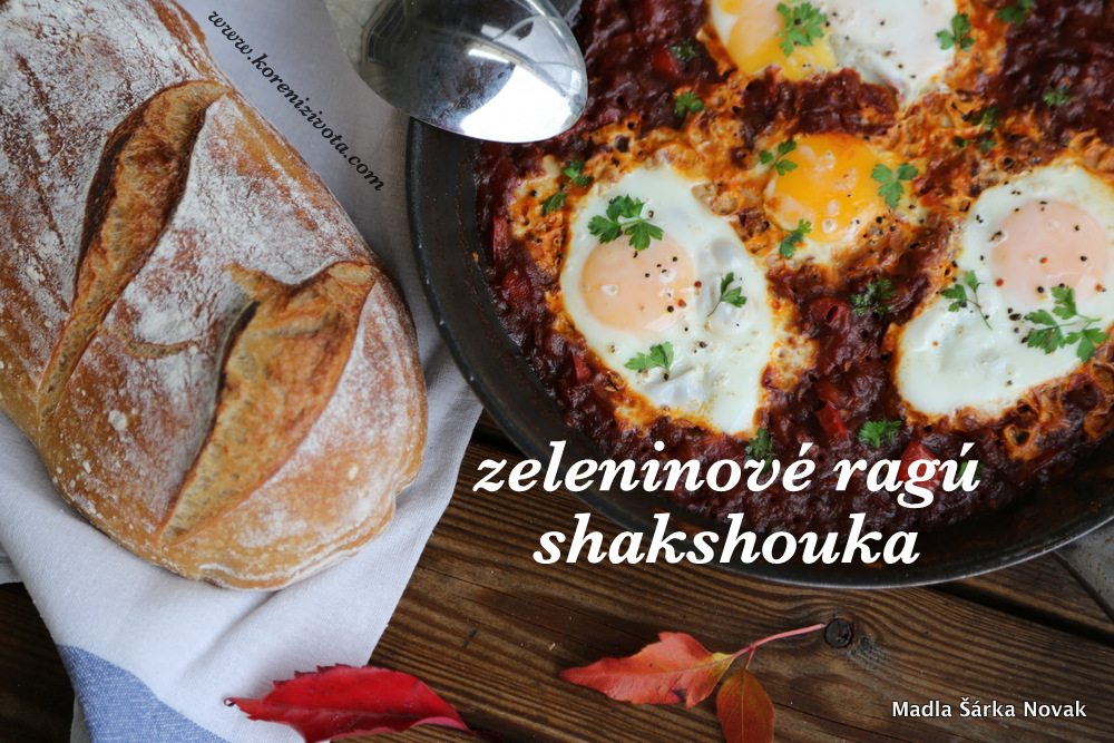 Zeleninové ragú shakshouka