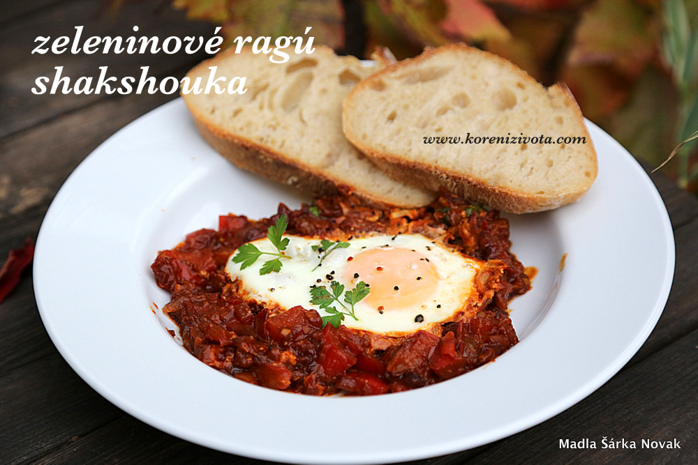 Zeleninové ragú shakshouka