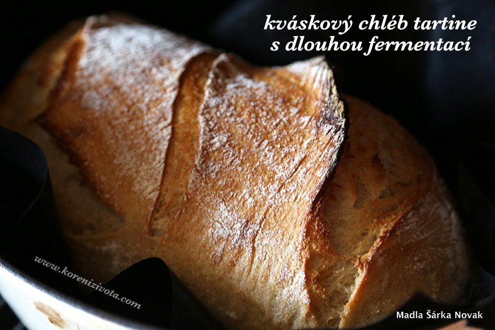 Kváskový chleba tartine s dlouhou fermentací po sundání poklice uprostřed pečící procesu vás mile překvapí