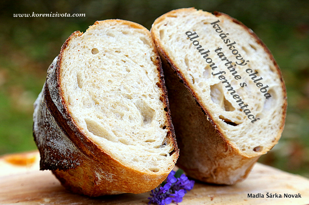 Kváskový chleba tartine s dlouhou fermentací