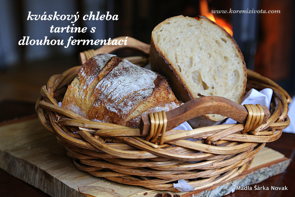 Kváskový chleba tartine s dlouhou fermentací a mateřským těstem