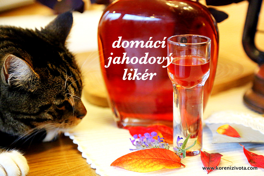 Domácí jahodový likér