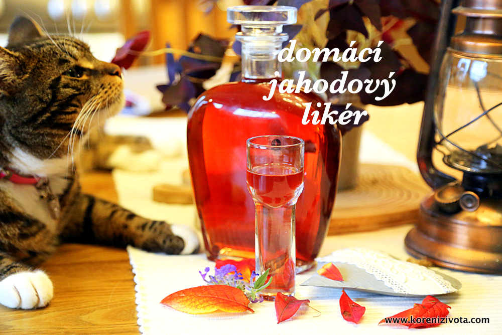 Domácí jahodový likér