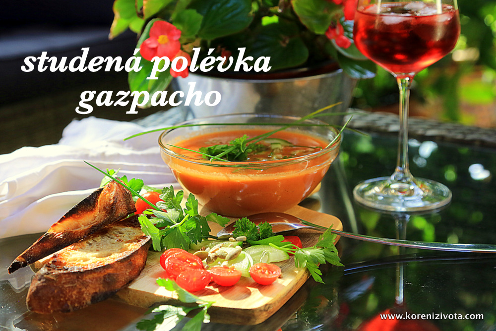 studená polévka gazpacho, chladivá a osvěžující v úmorných letních vedrech