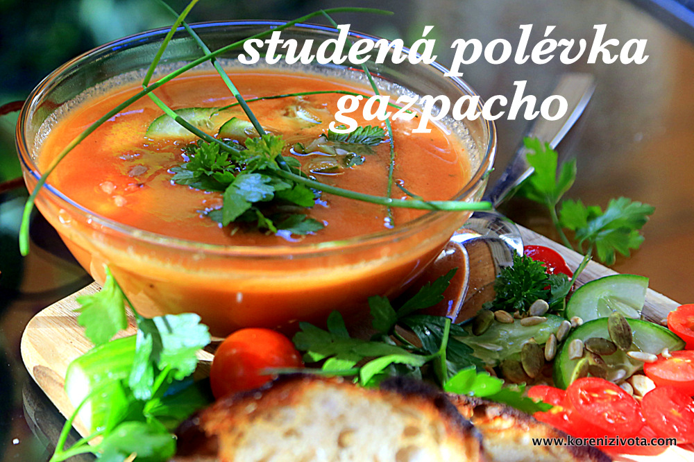 studená polévka gazpacho studená polévka gazpacho