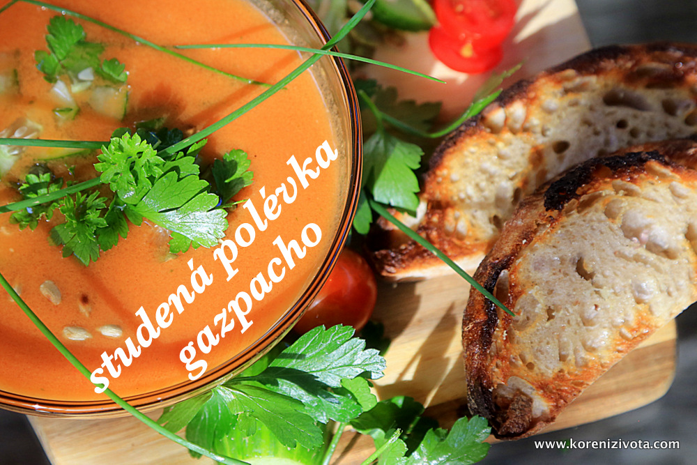 studená polévka gazpacho studená polévka gazpacho