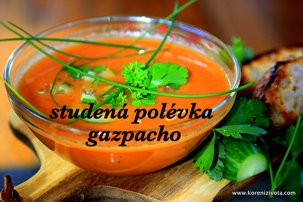 studená polévka gazpacho