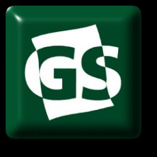 GS Logo
