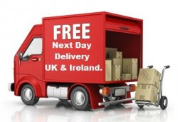 Ingenico iWL221 Credit Card