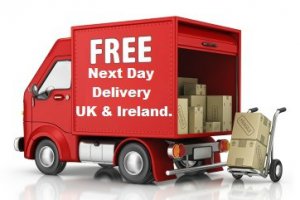 Elavon Ingenico password